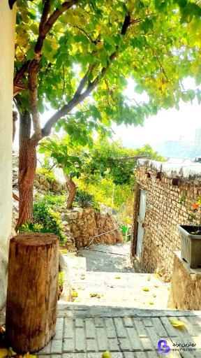 تصویر 2 از اجاره سوئیت کریمی