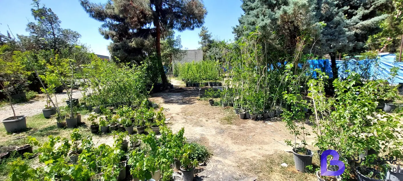 تصویر 2 از بازار گل و گیاه فکوری