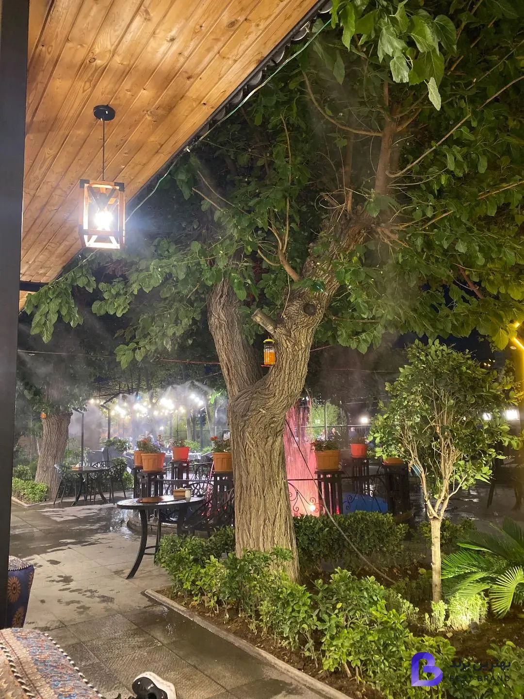 تصویر 2 از باغ رستوران دلوین