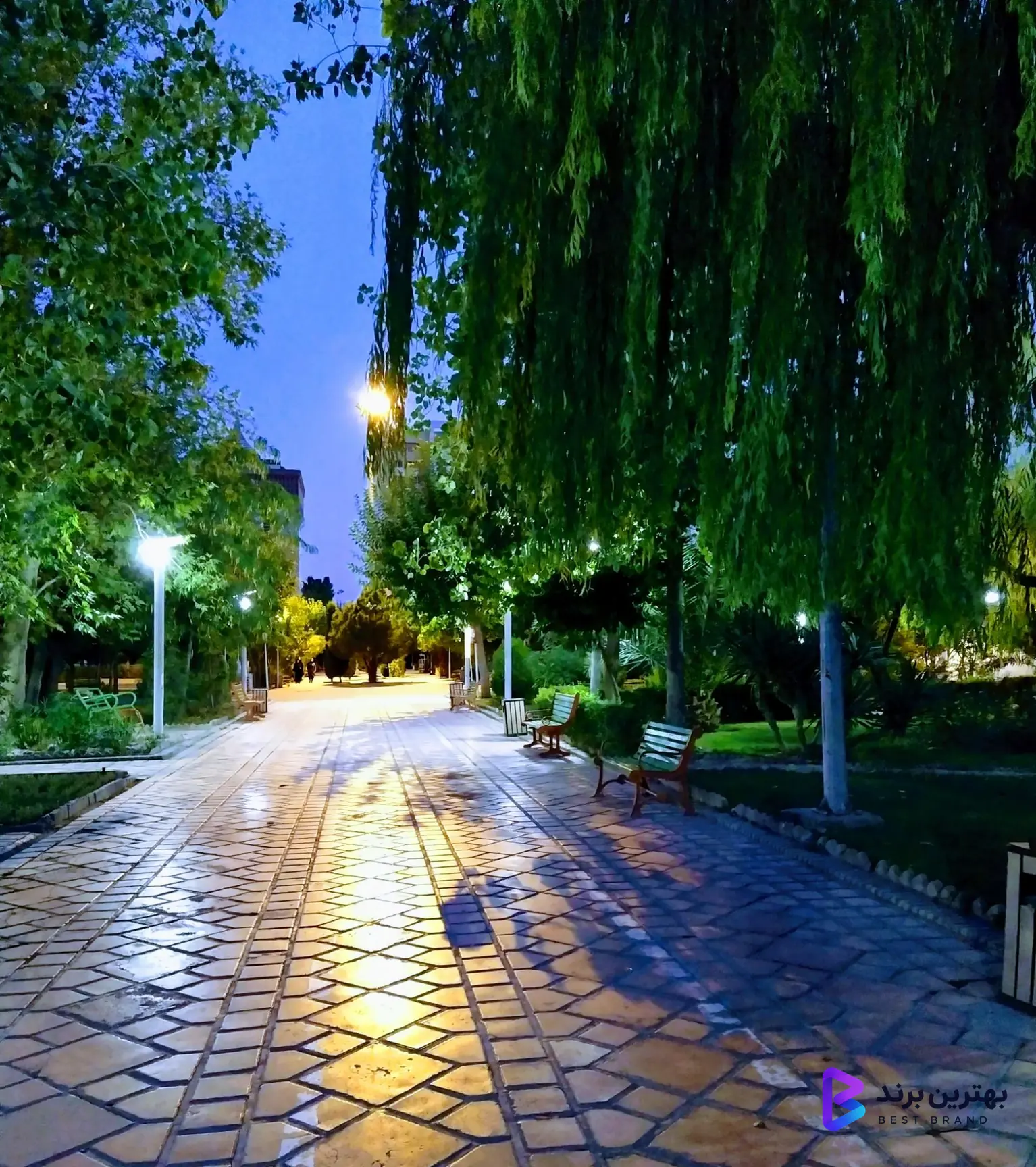 تصویر 1 از بوستان هنرمندان