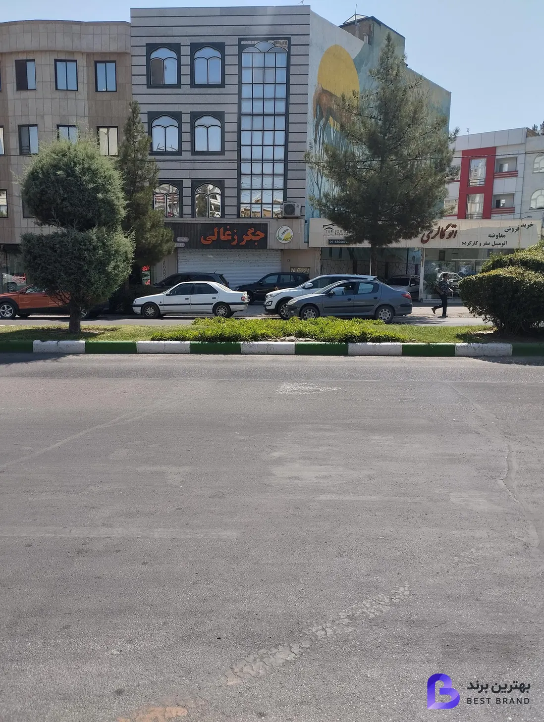 تصویر جگر ذغالی