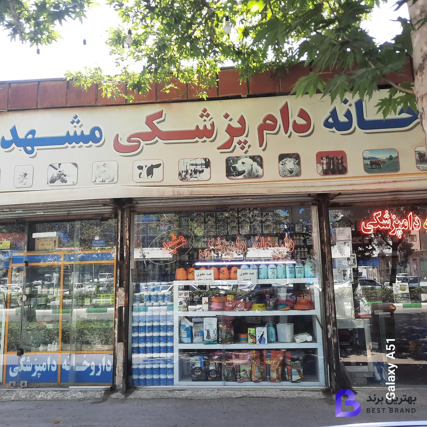 تصویر 1 از داروخانه دامپزشکی مشهد