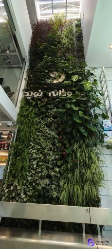 تصویر 3 از داروخانه نوید