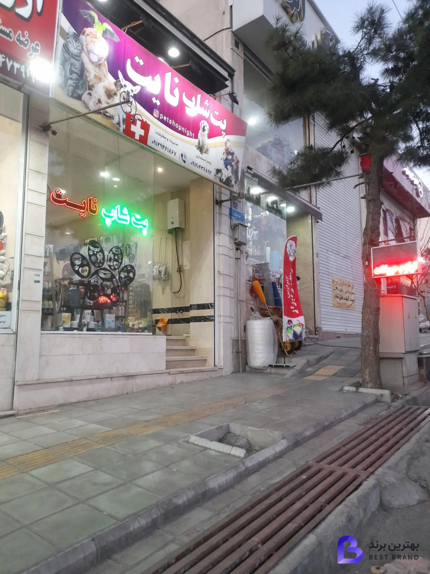 تصویر دامپزشکی
