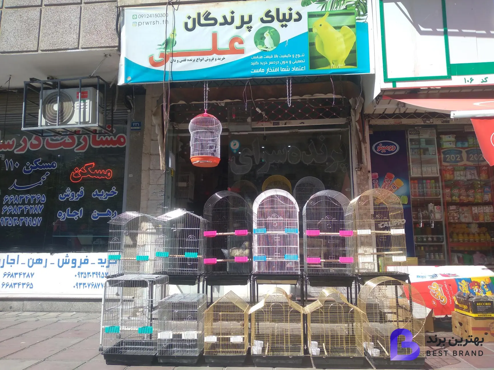 تصویر 1 از دنیای پرندگان علی