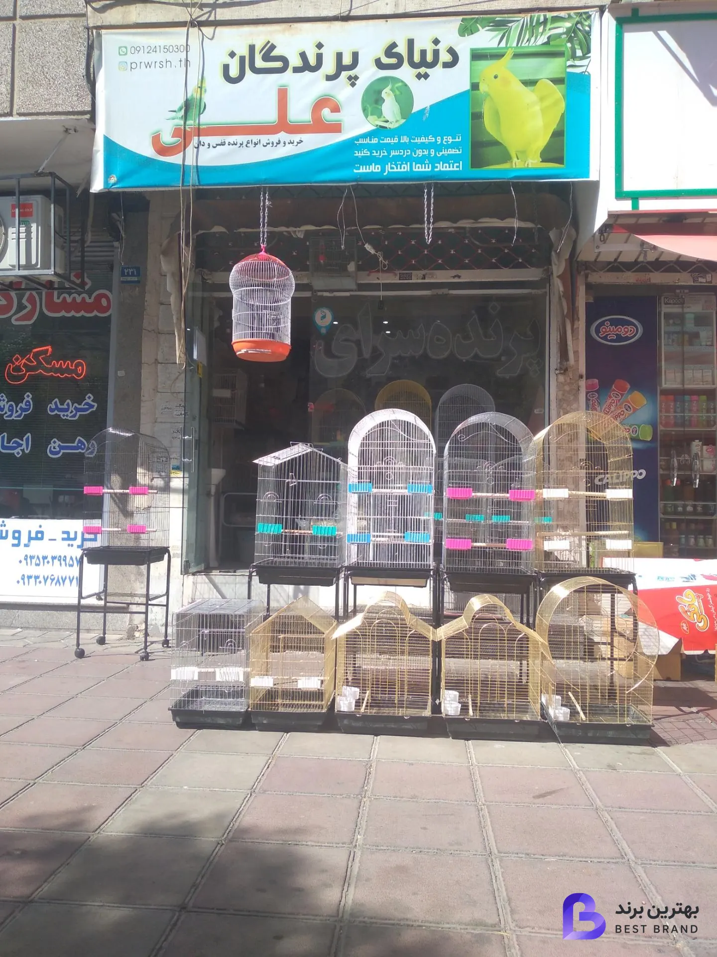 تصویر دنیای پرندگان علی