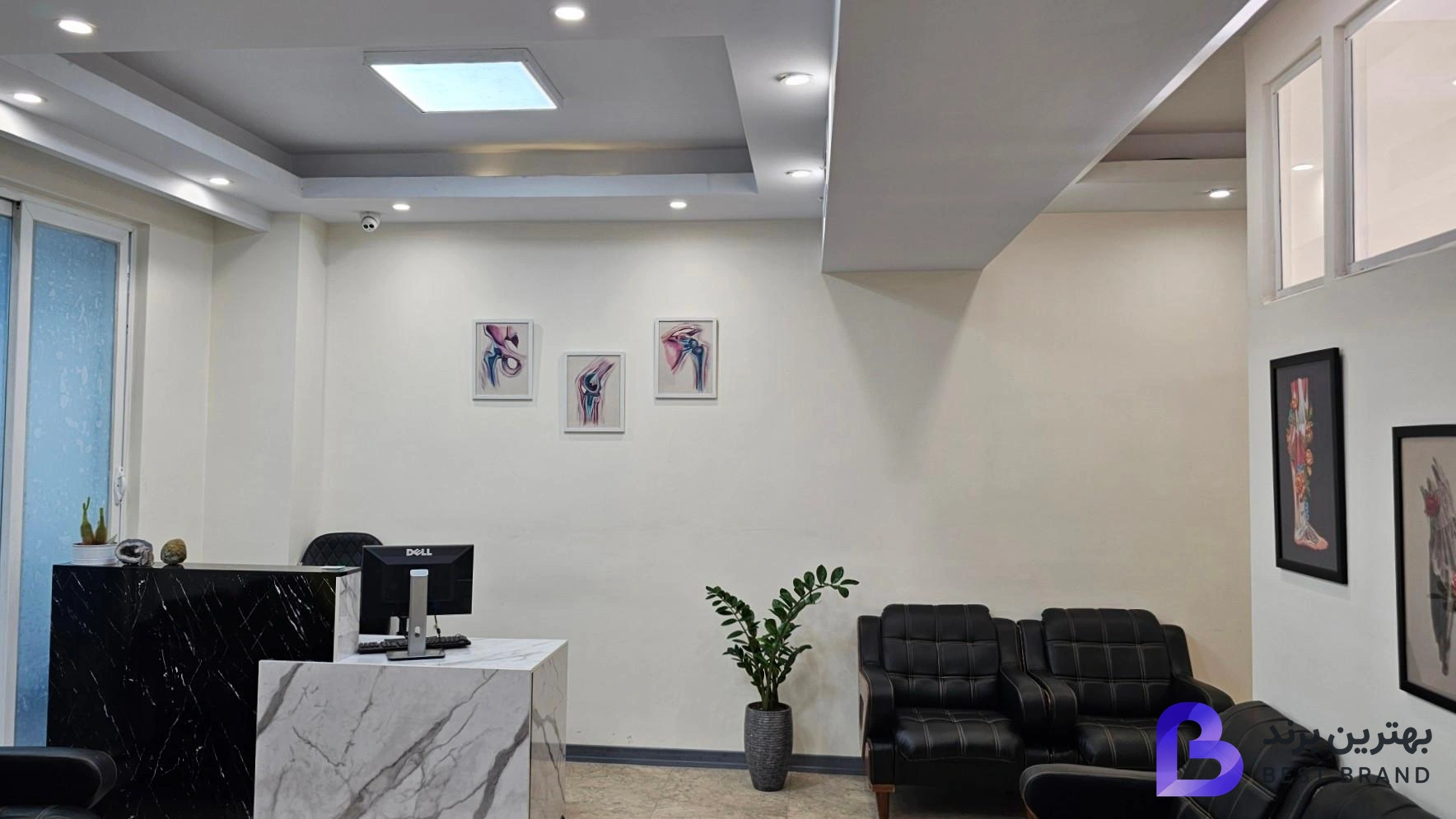 تصویر دکتر امیر برزنونی
