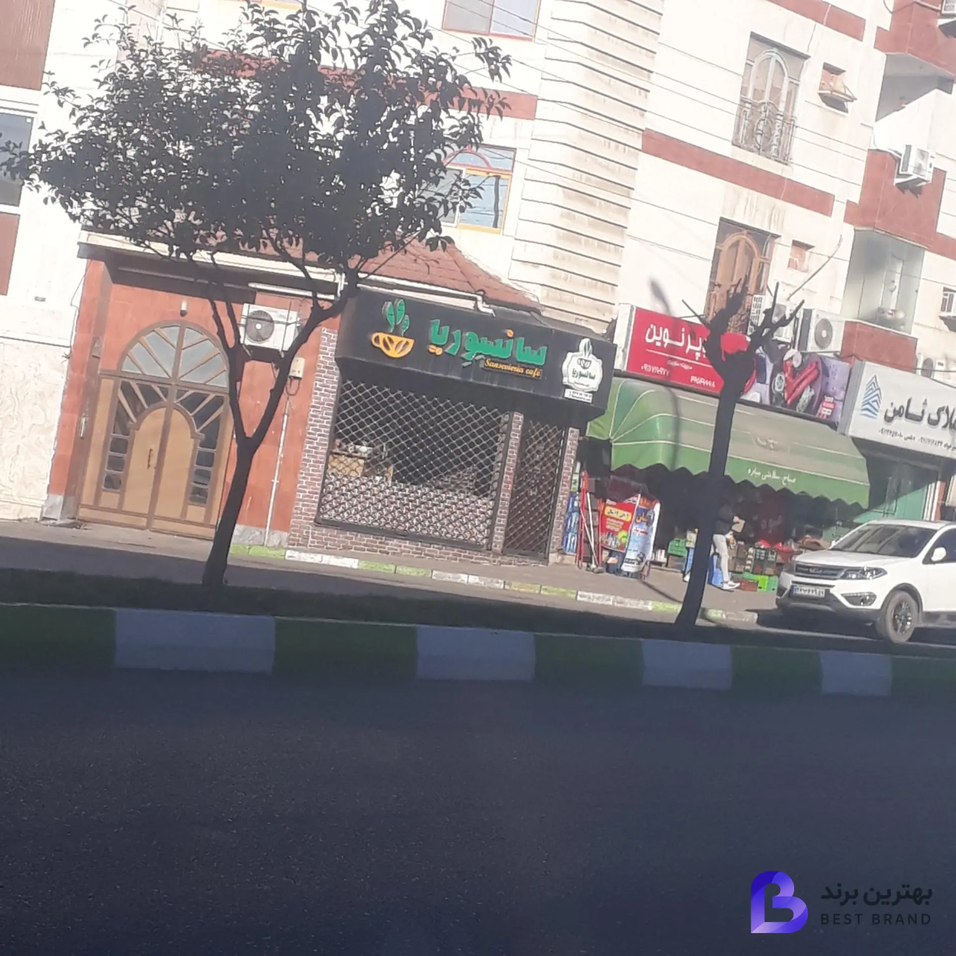 تصویر سانسوریا