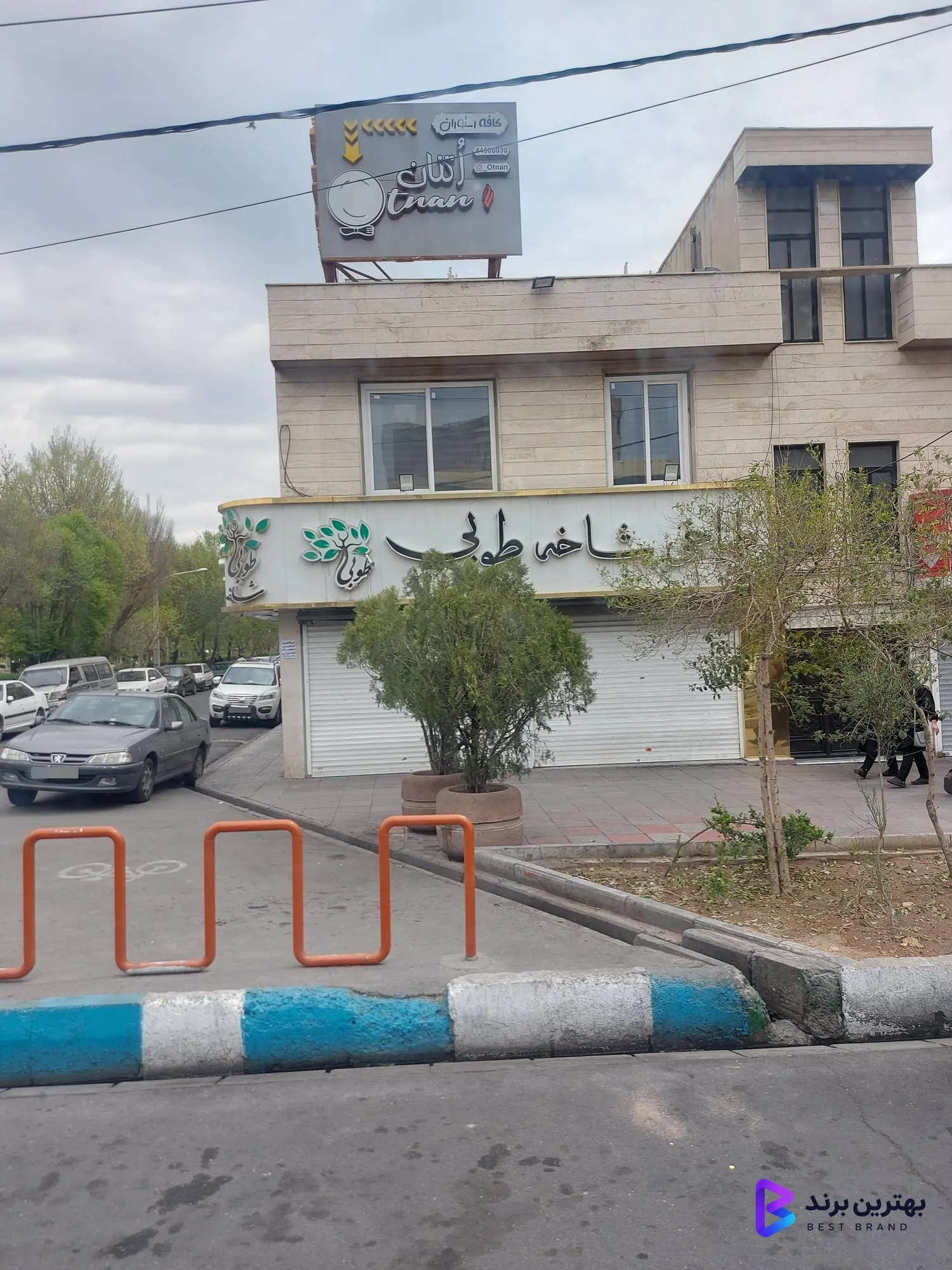 تصویر 4 از طباخی شاخه طوبی
