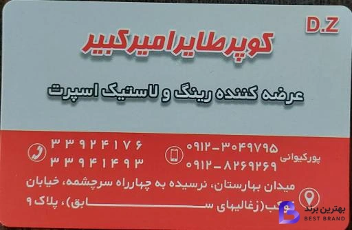 تصویر 2 از فروشگاه رینگ و لاستیک پورکیوانی