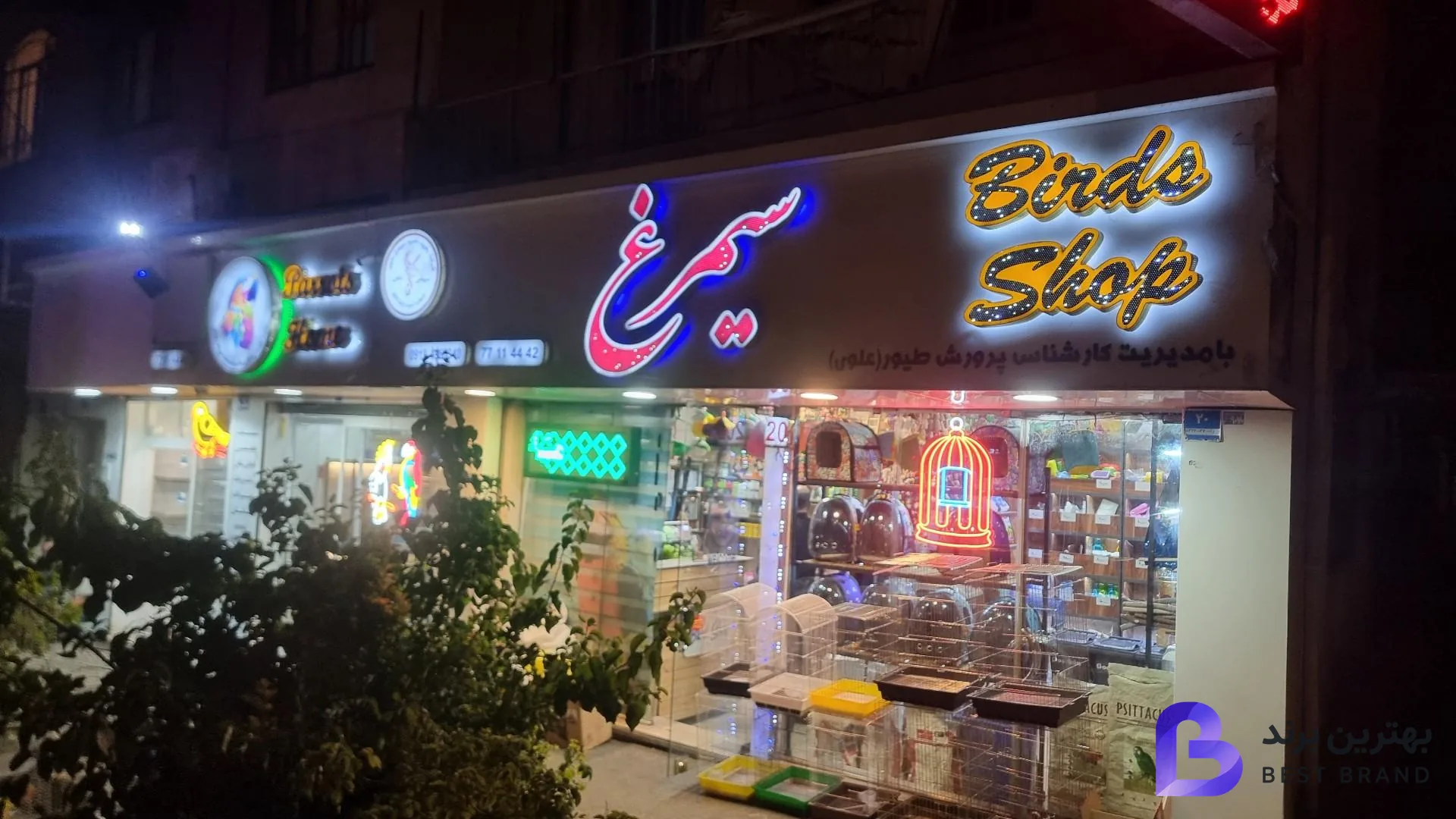 تصویر 1 از فروشگاه سیمرغ علوی