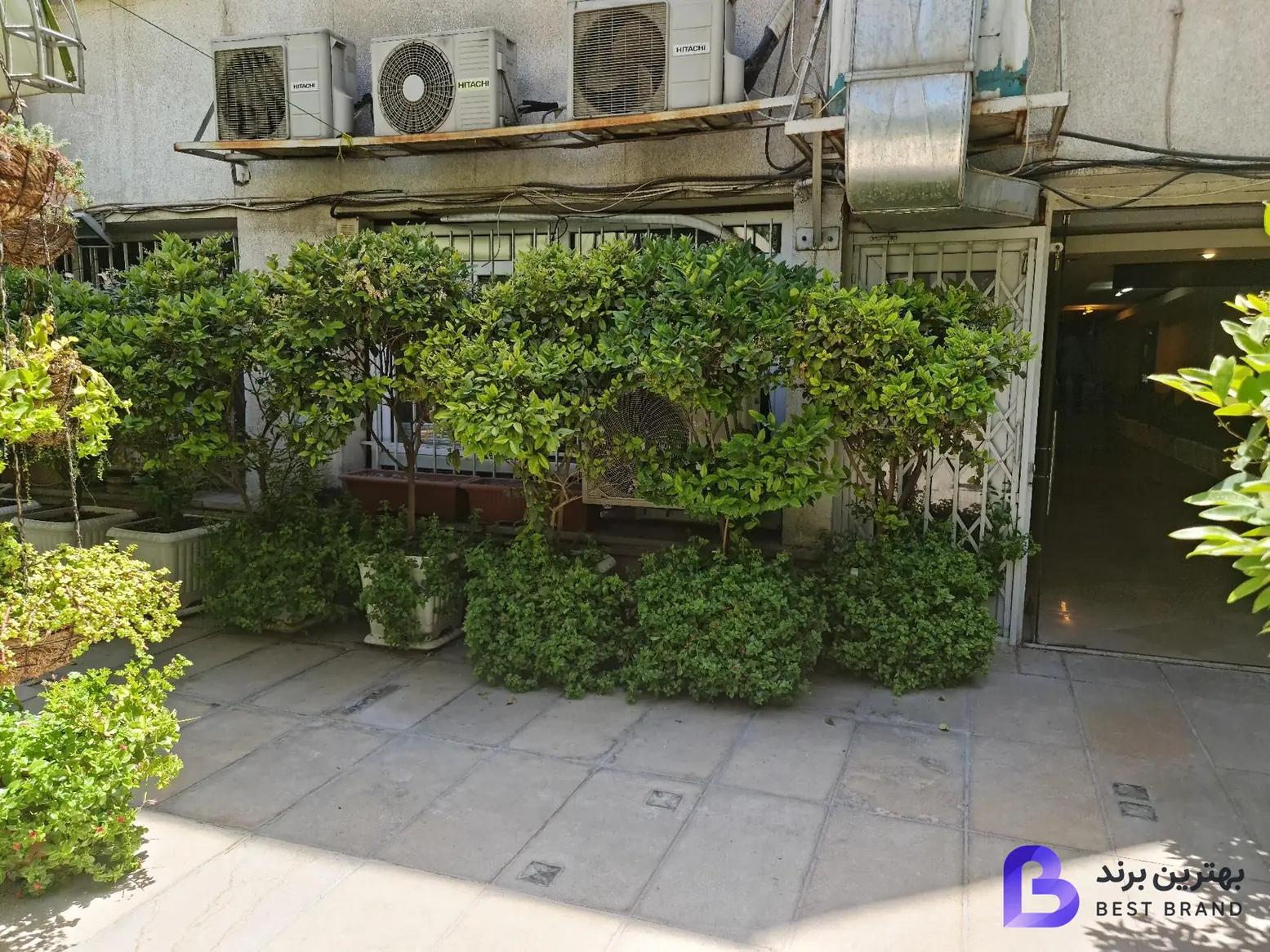 تصویر 1 از فیزیوتراپی شریعتی