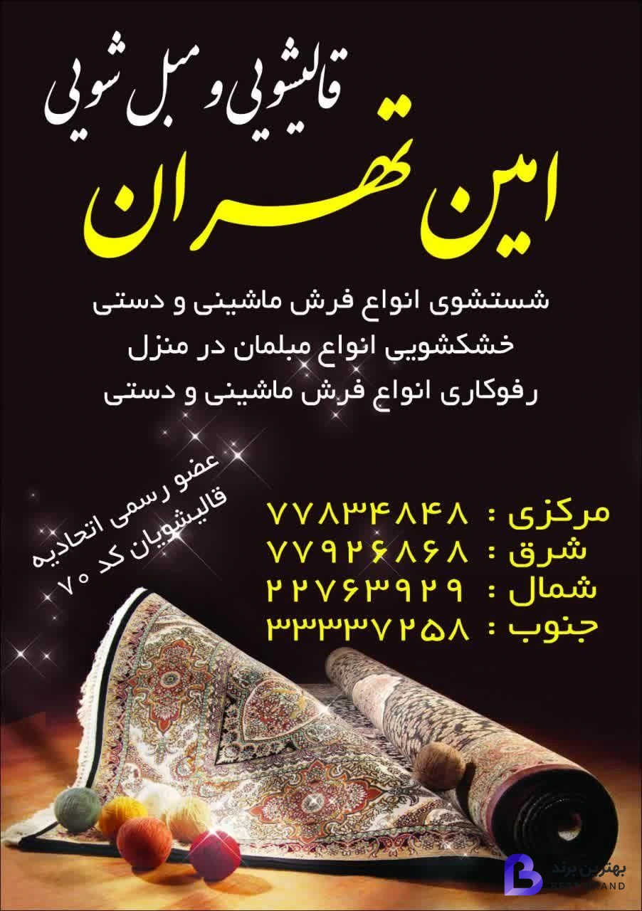 تصویر 2 از قالیشویی امین تهران