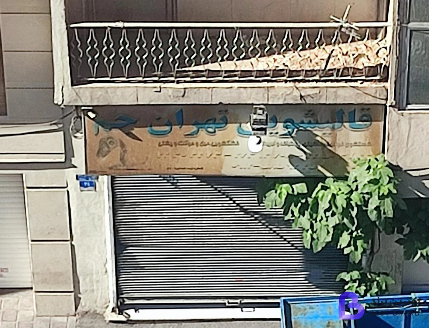 تصویر قالیشویی تهران جم
