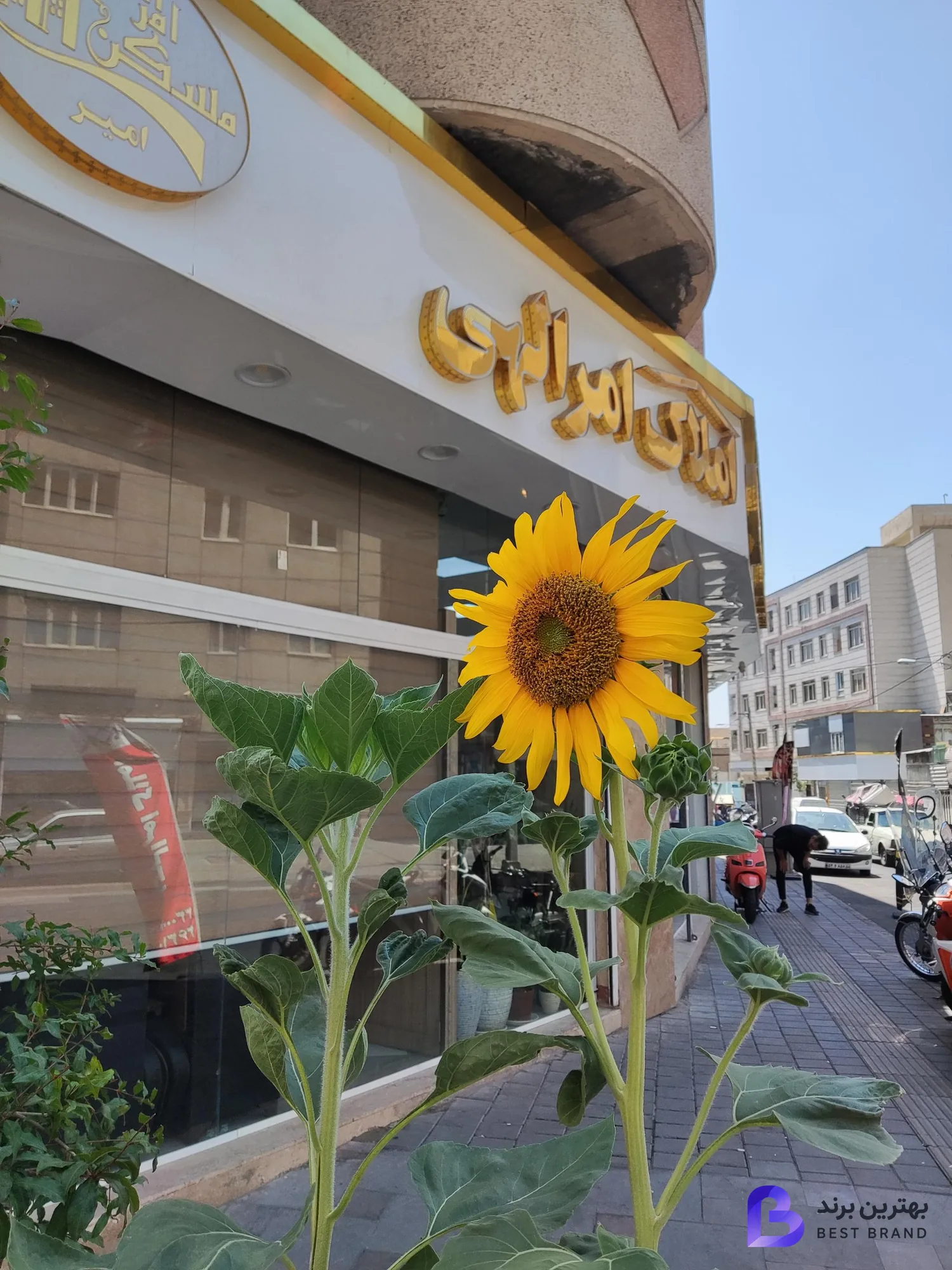 تصویر 2 از مشاورین مسکن امرالهی