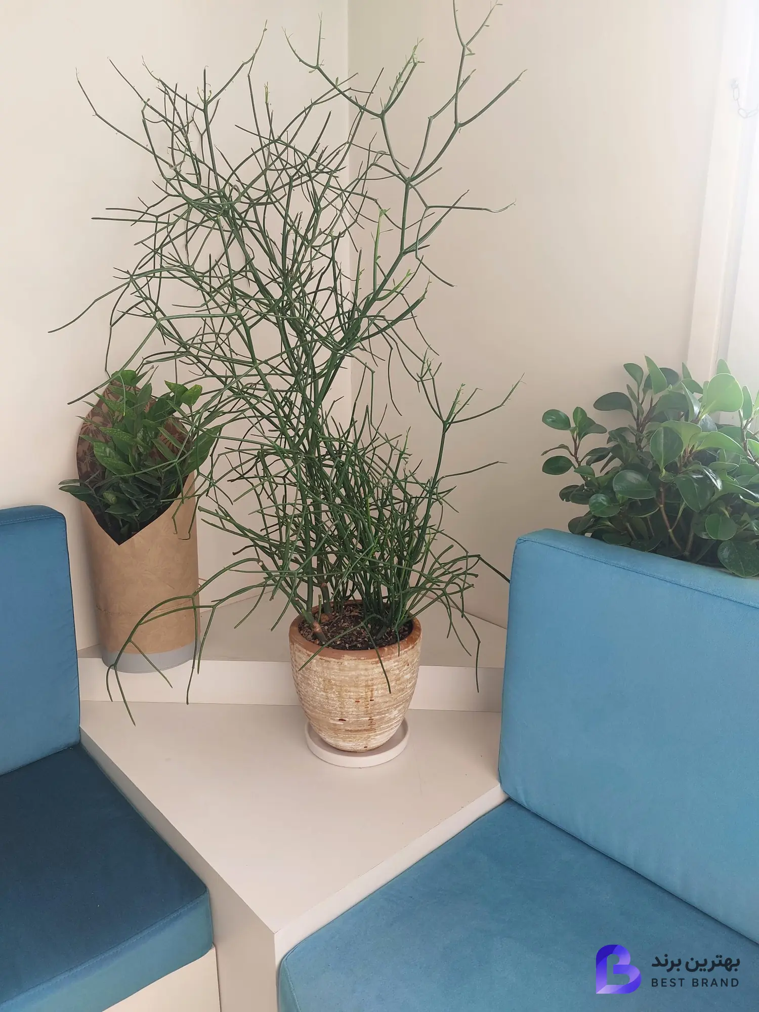 تصویر مطب دکتر احسان کرباسی