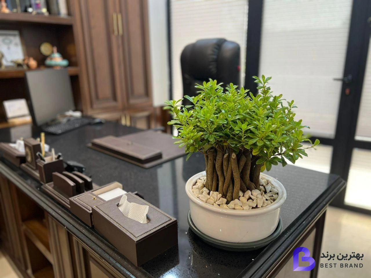 تصویر مطب دکتر علی یعقوبی جویباری