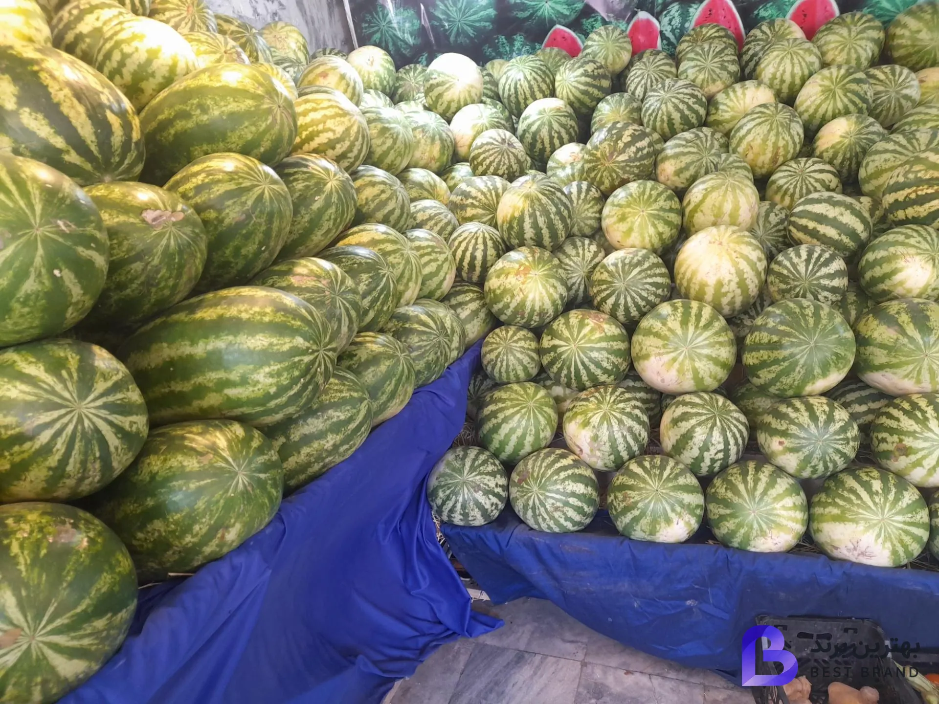 تصویر 1 از میوه و تره بار دستچین برادران صانعی