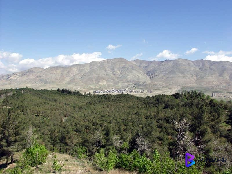 تصویر پارک جنگلی چیتگر