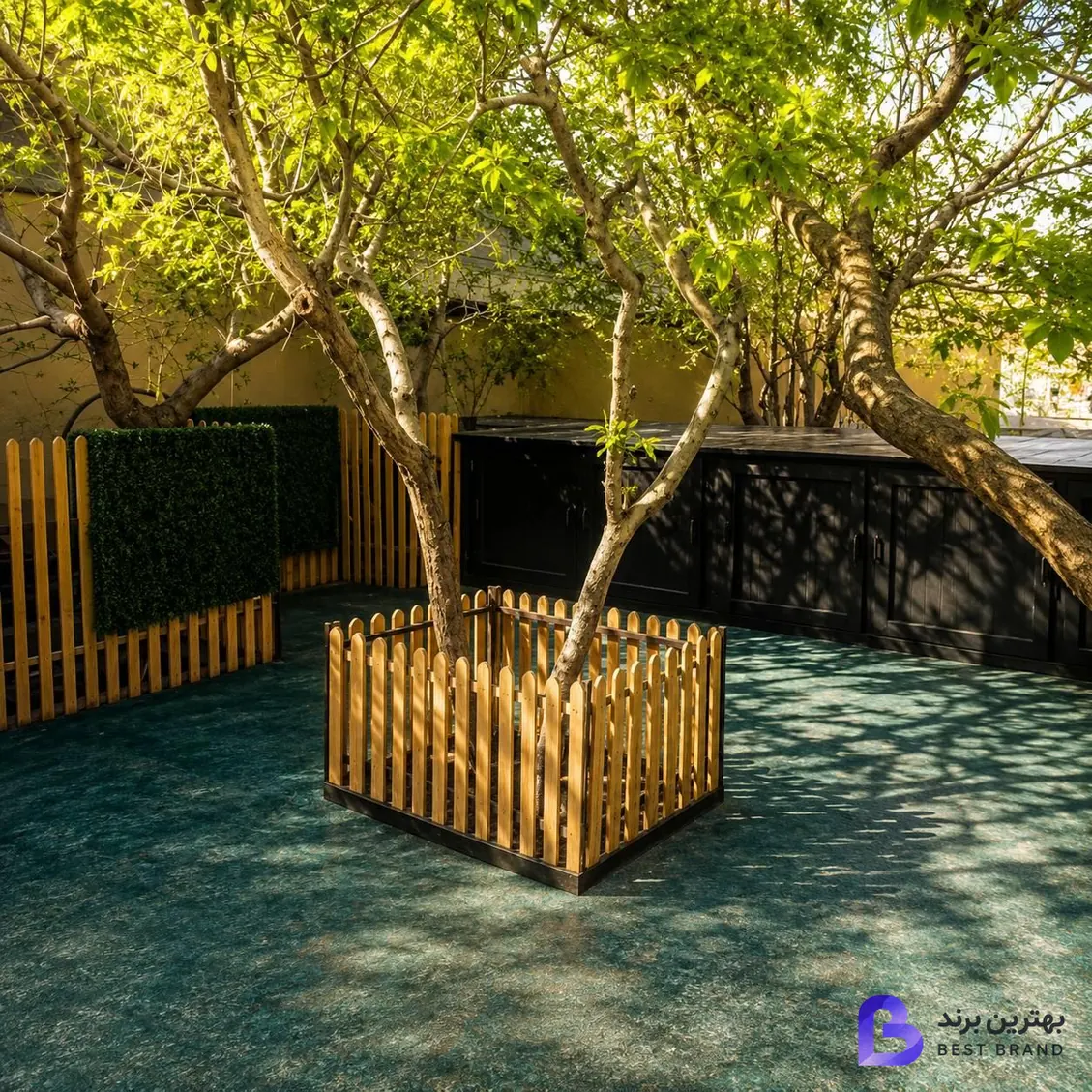تصویر پانسیون سگ و گربه هتل کانیس