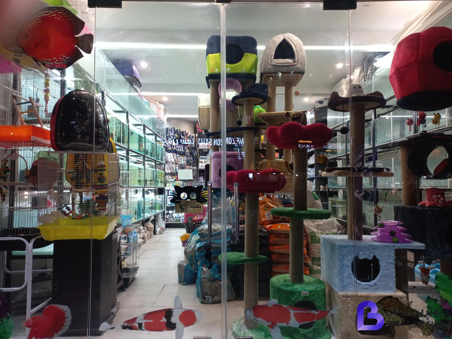 تصویر 2 از پت شاپ آقای رئیس
