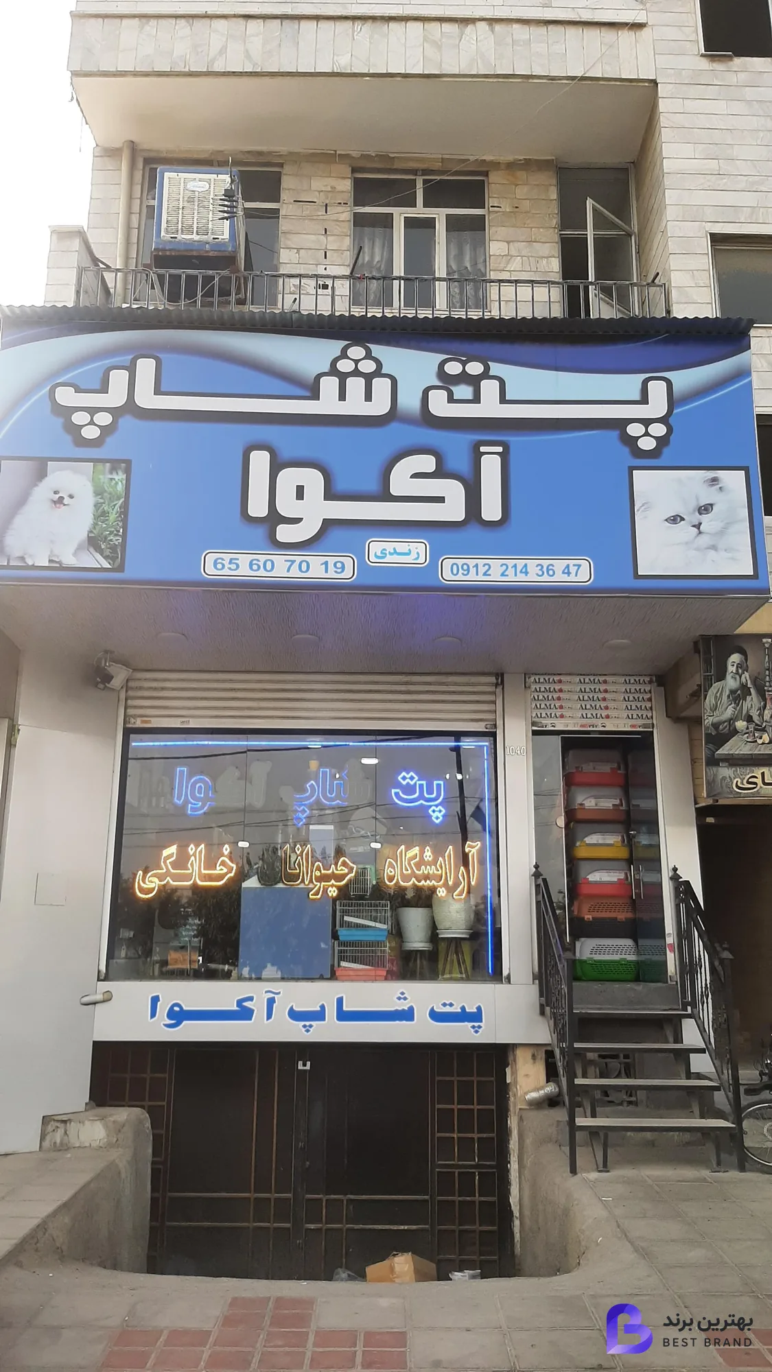 تصویر پت شاپ آکوا