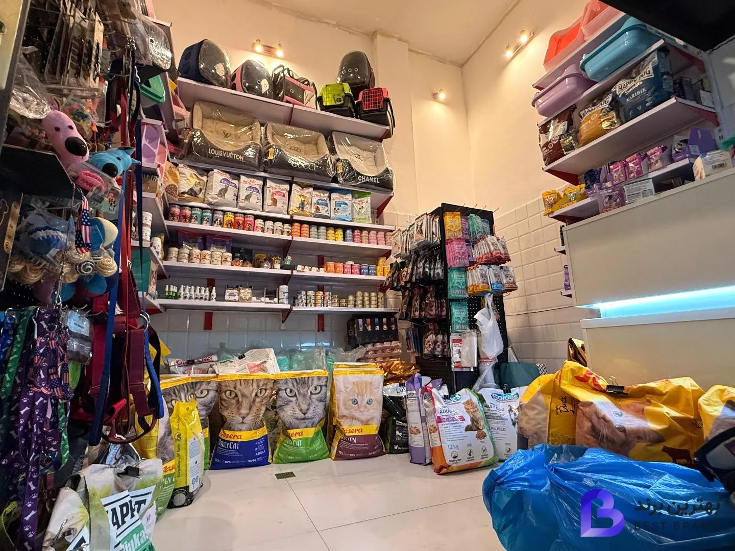 تصویر 2 از پت شاپ بلوبری