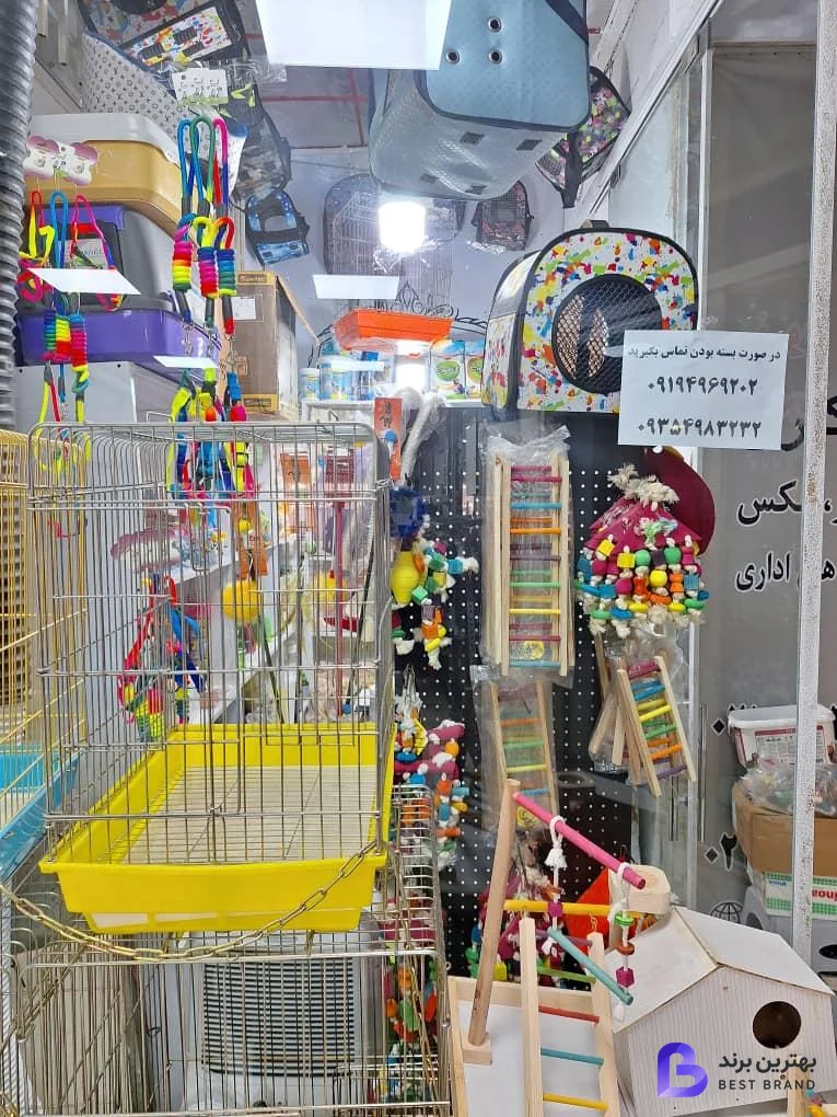 تصویر پت شاپ تهران طوطی