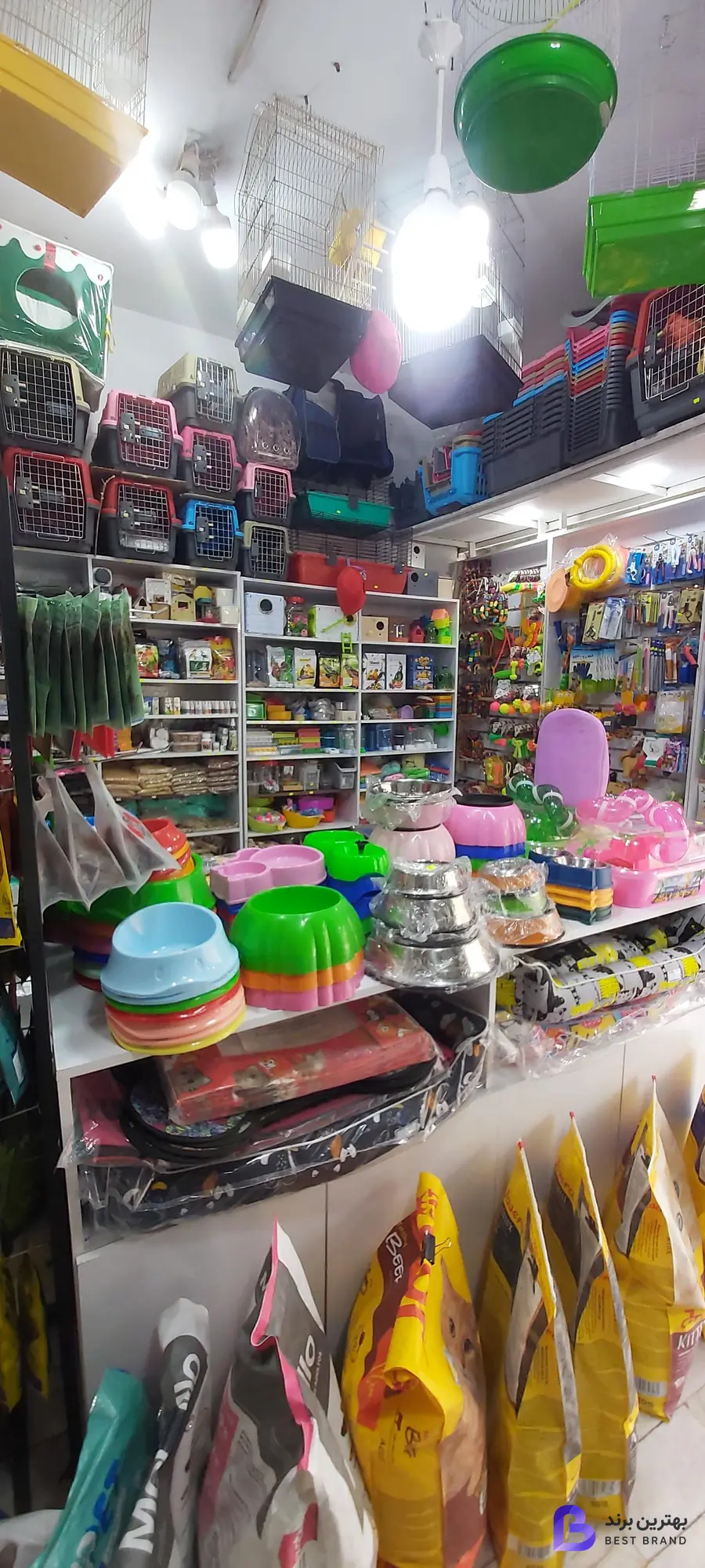 تصویر 1 از پت شاپ لُپیدو