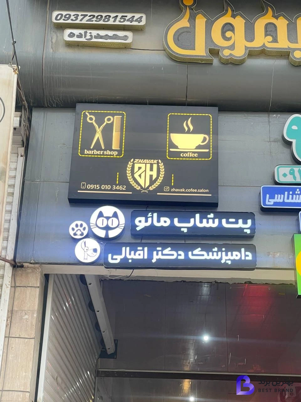 تصویر 1 از پت شاپ مائو دکتر اقبالی
