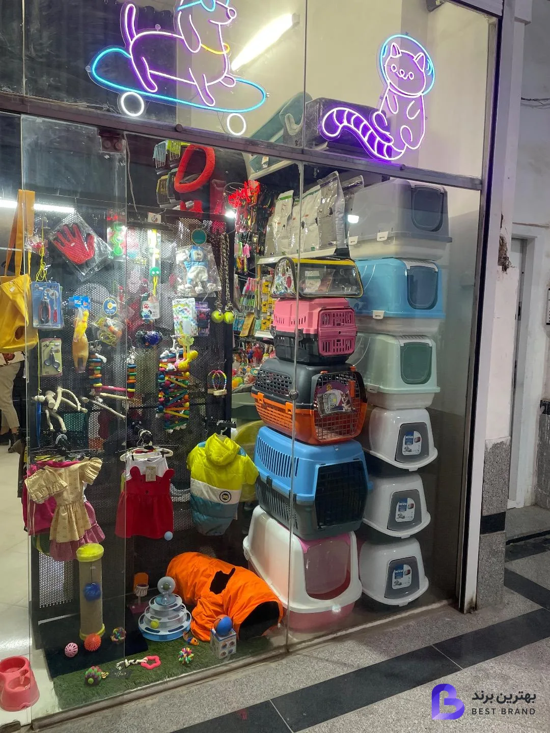 تصویر 2 از پت شاپ مائو دکتر اقبالی
