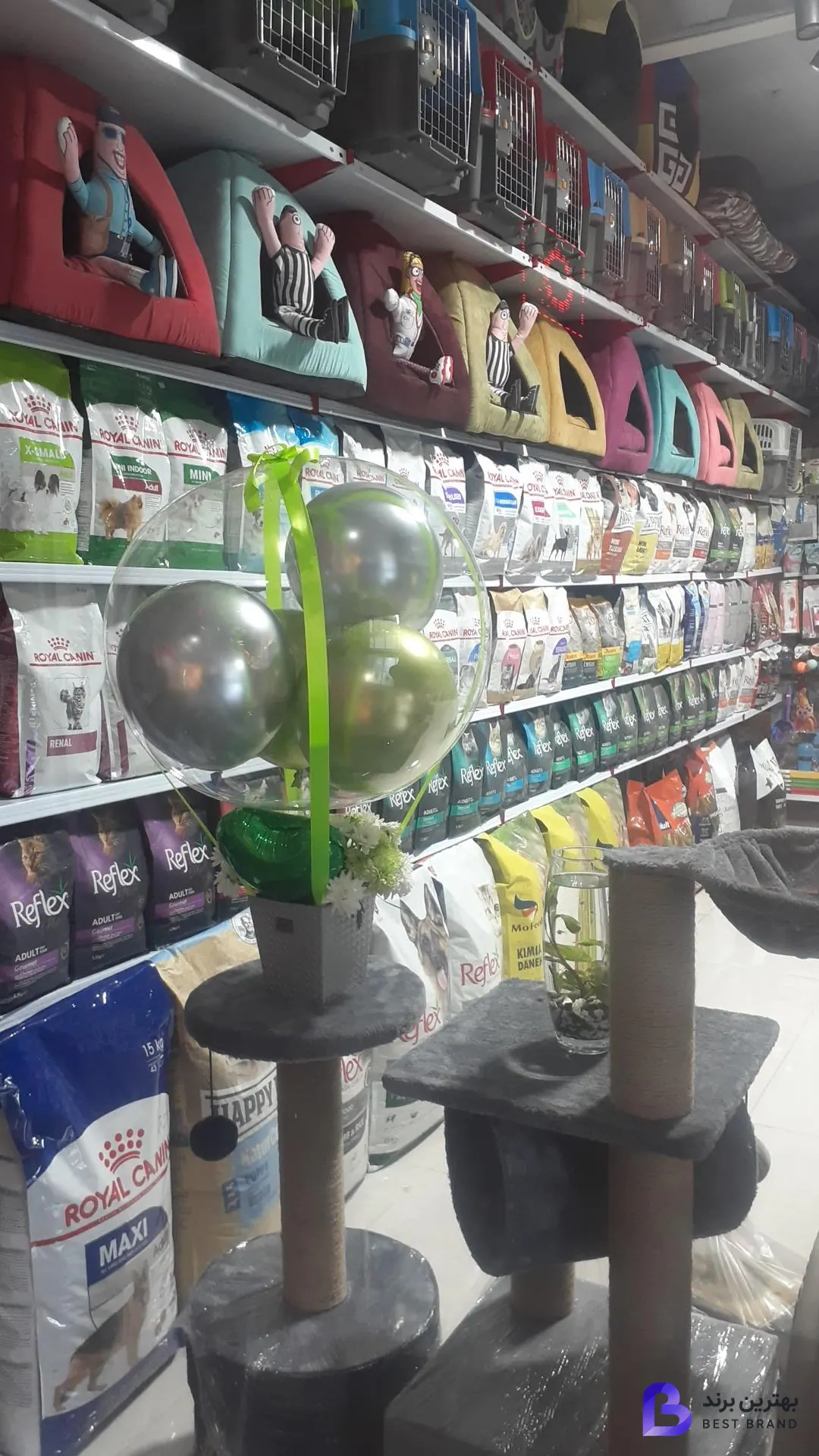 تصویر 1 از پت شاپ نیلا شعبه اکباتان
