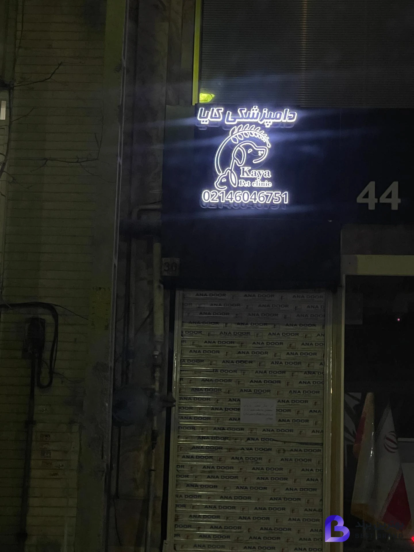 تصویر پت شاپ‌ و کلینیک دامپزشکی کایا