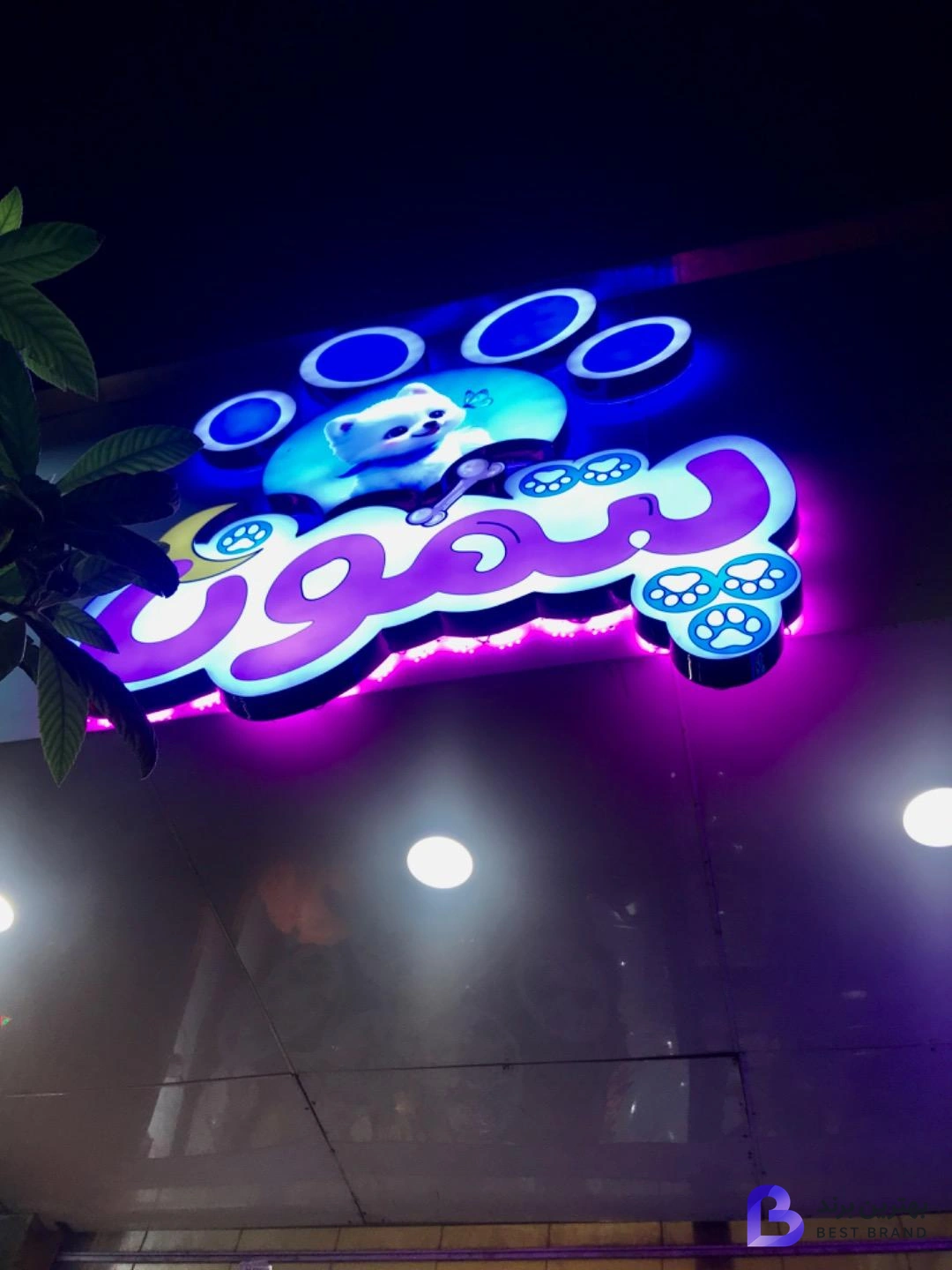 تصویر 1 از پت شاپ پتمون