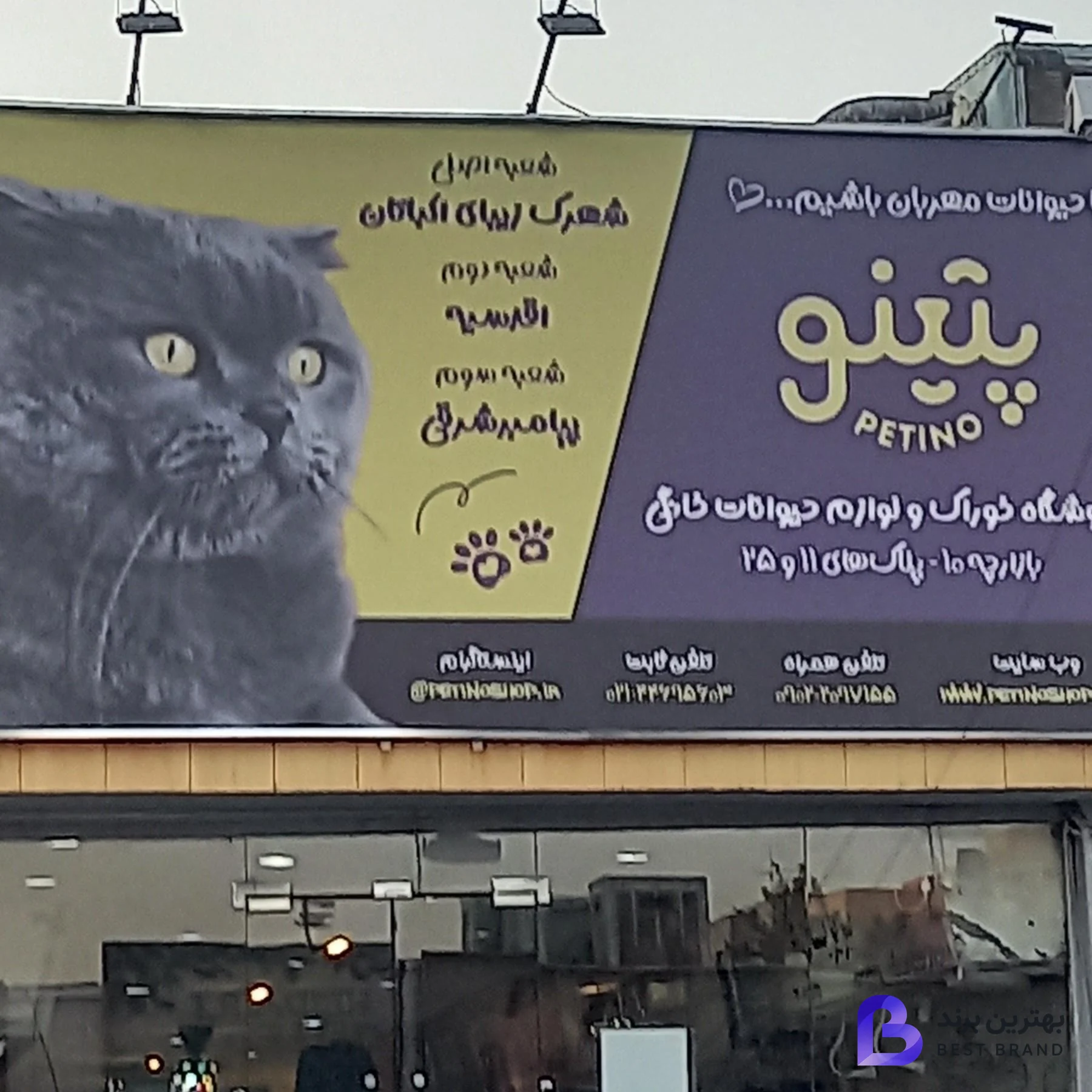 تصویر 1 از پت شاپ پتینو ( شعبه اصلی )