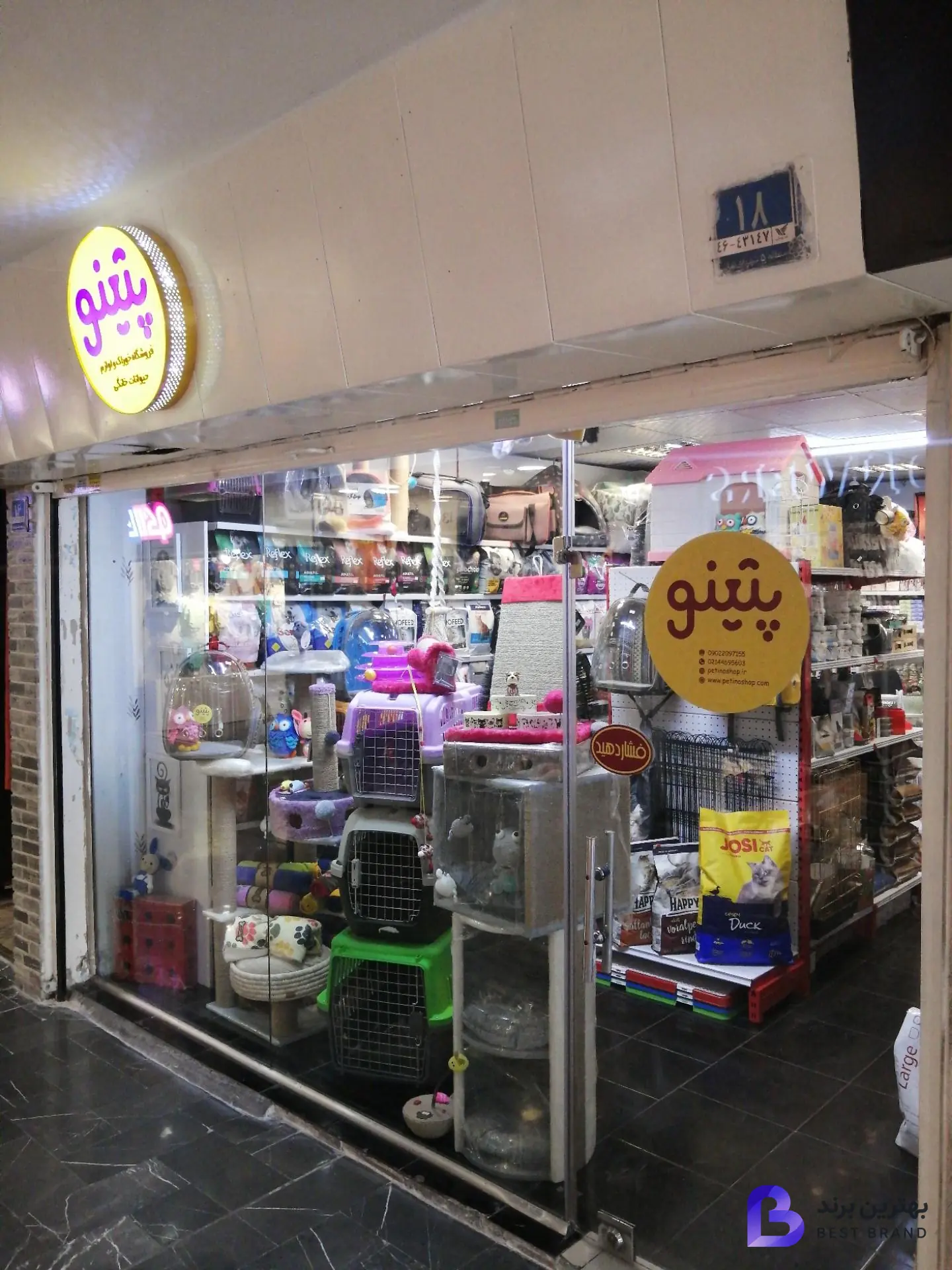 تصویر پت شاپ پتینو ( شعبه اصلی )