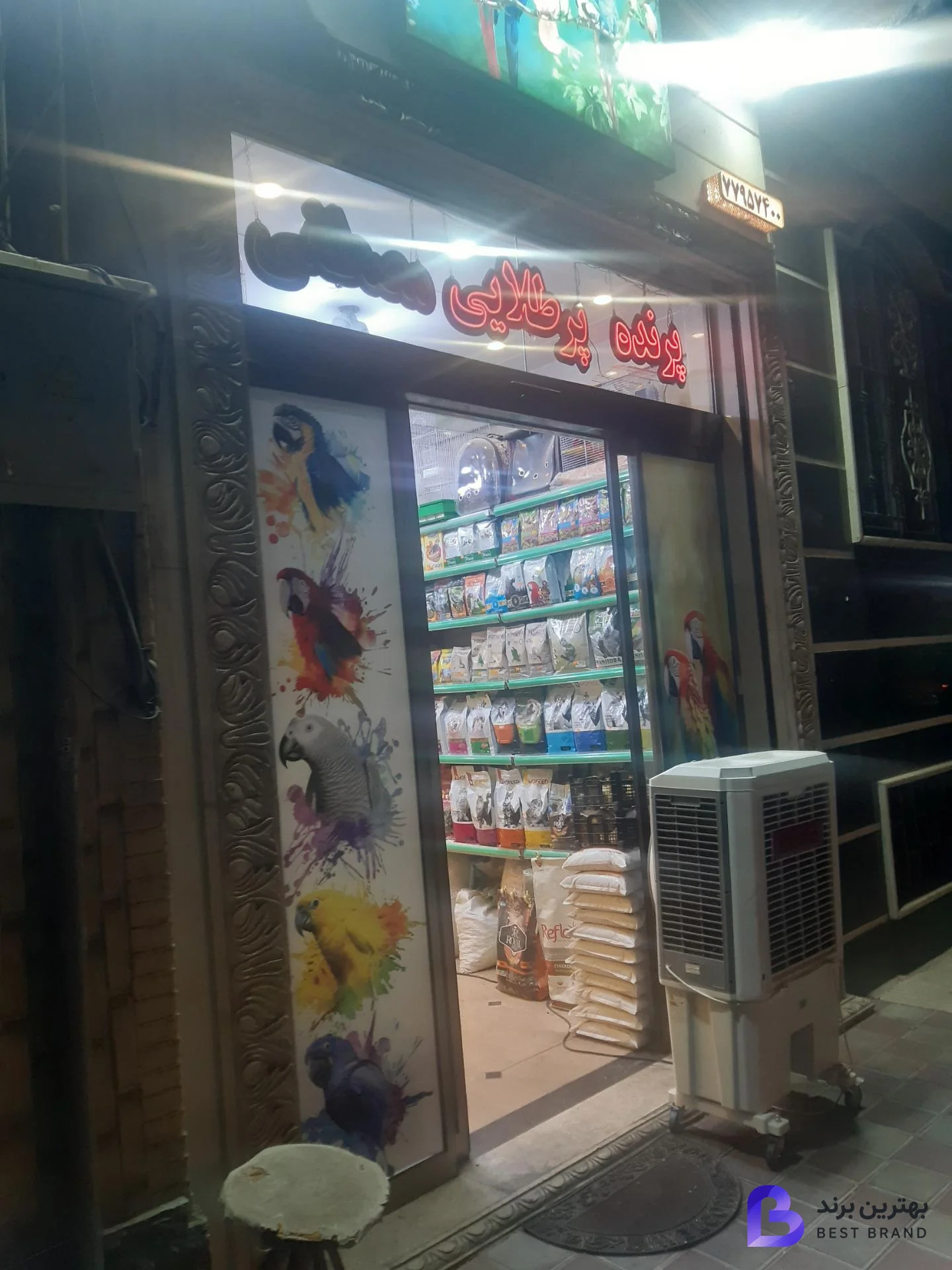 تصویر 2 از پت شاپ پرنده پرطلایی مصطفی