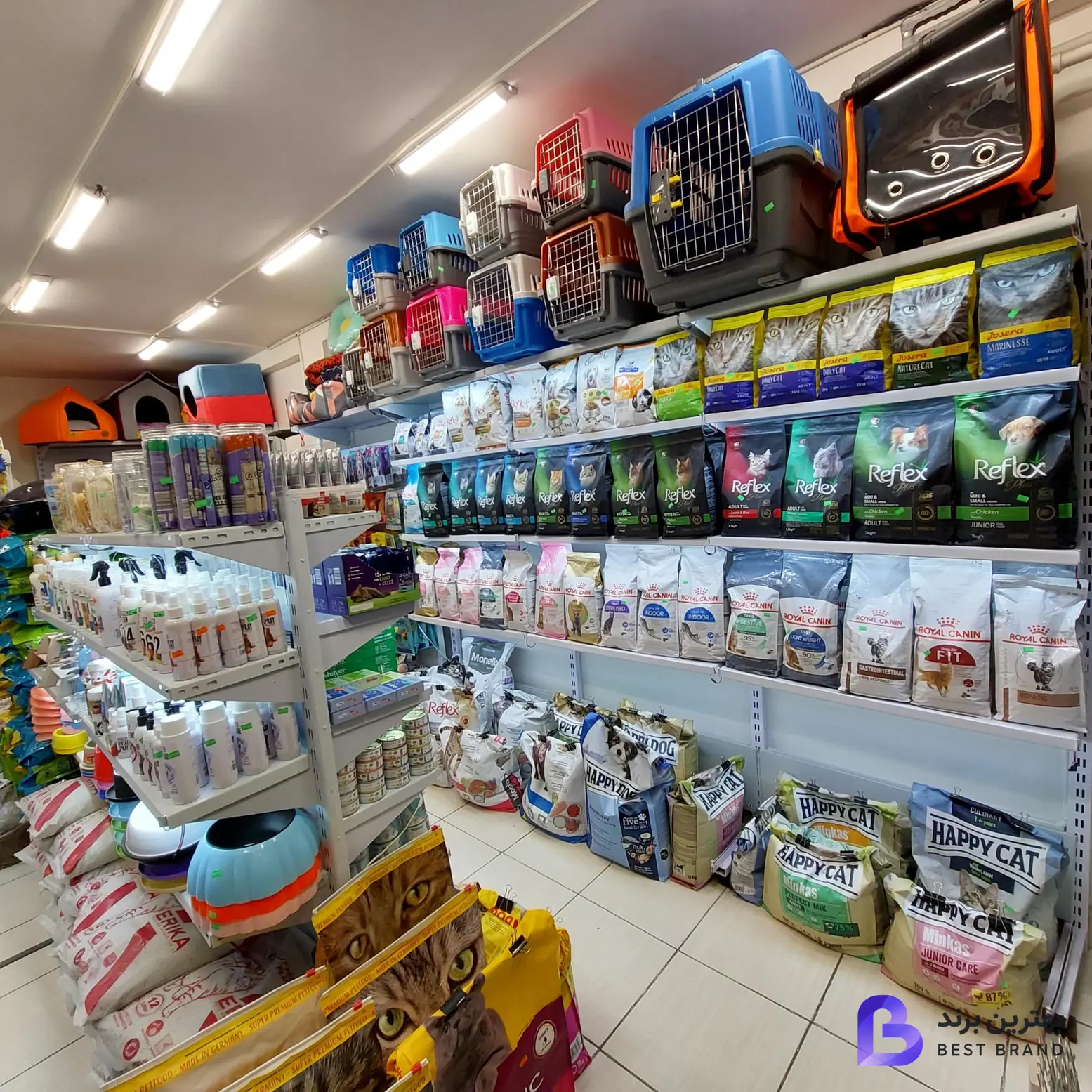 تصویر 1 از پت شاپ کایان