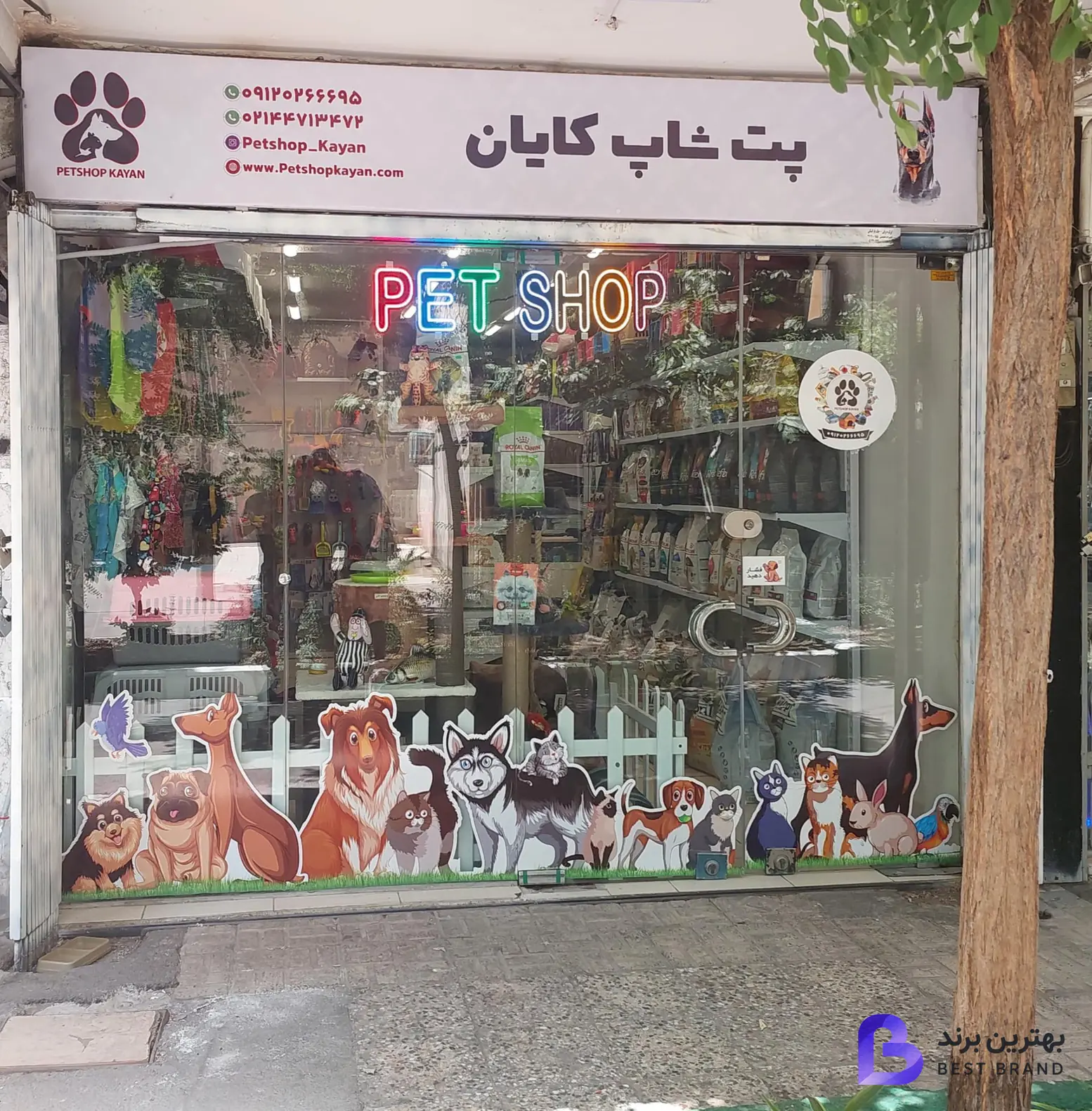 تصویر پت شاپ کایان