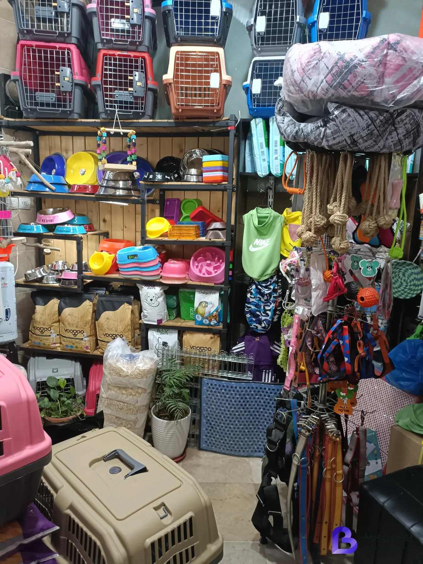 تصویر 1 از پت شاپ گریت