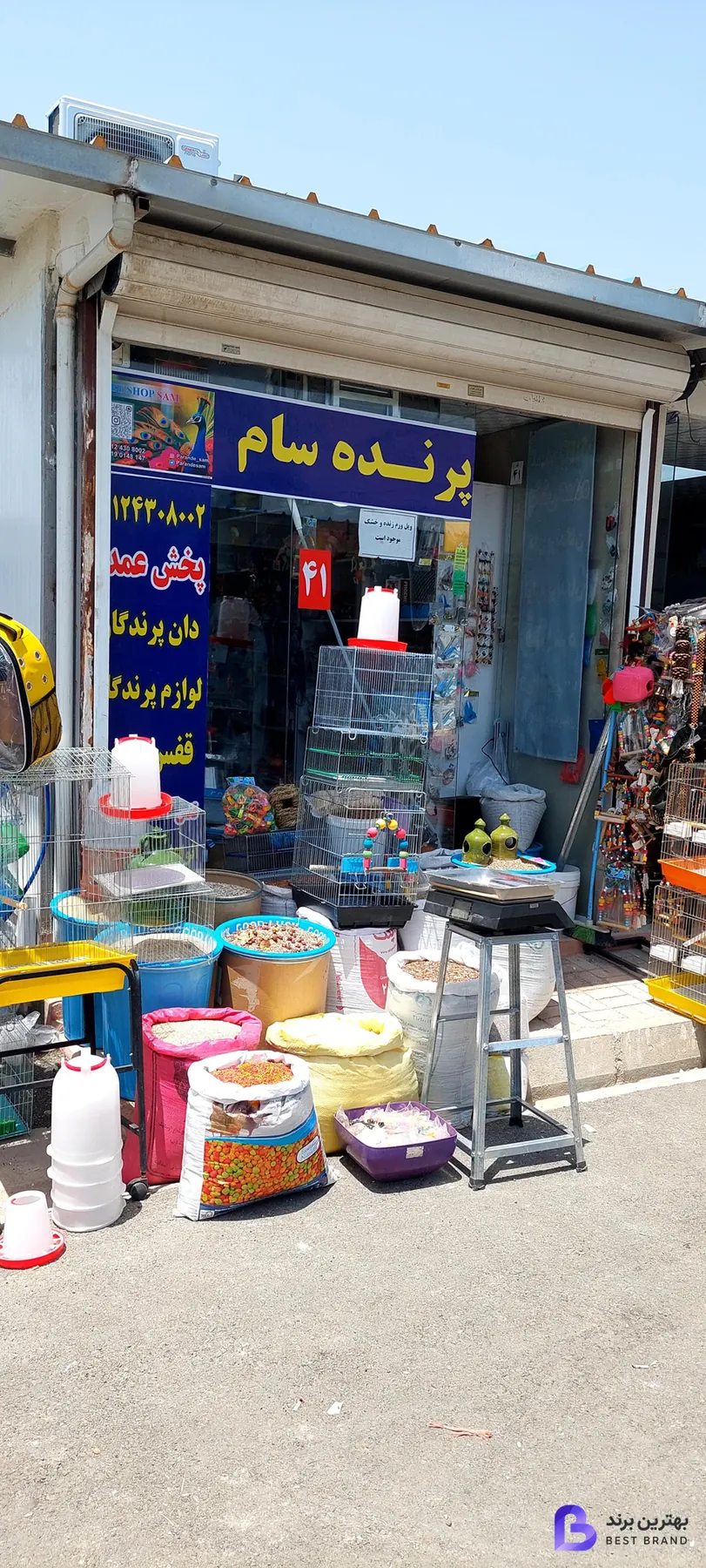 تصویر 1 از پخش قفس و لوازم پرندگان سام برد