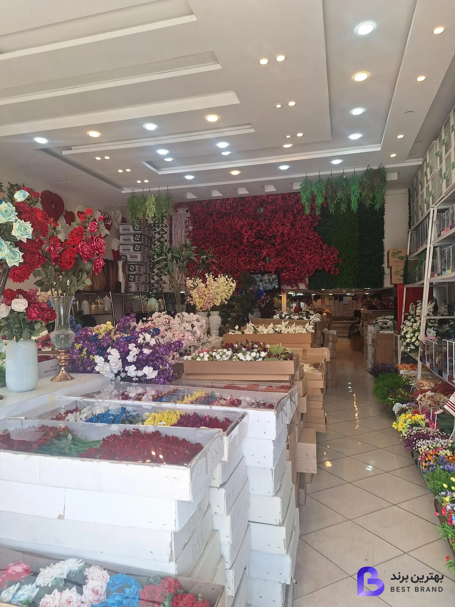 تصویر 1 از پخش گل مشهد مرکزی