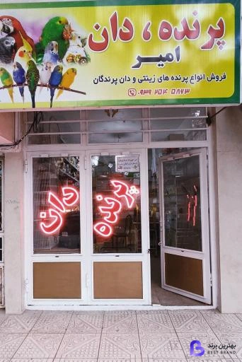 تصویر پرنده دان امیر