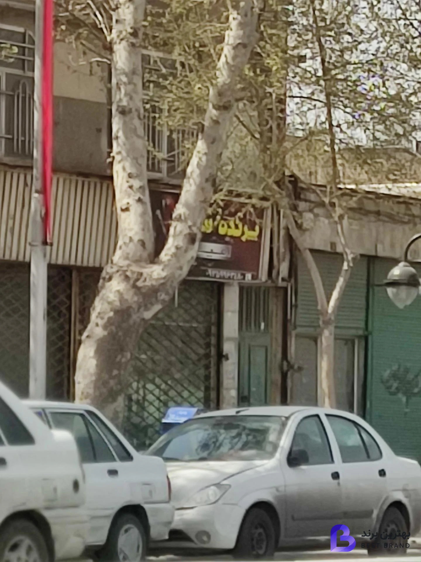 تصویر 1 از پرنده زینتی امیرعلی