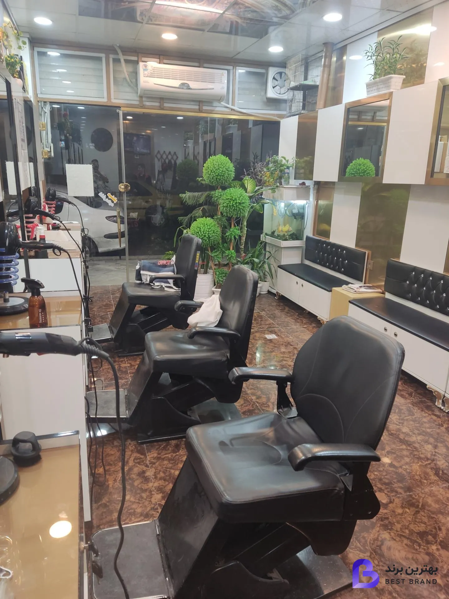 تصویر 3 از پیرایش فرشید