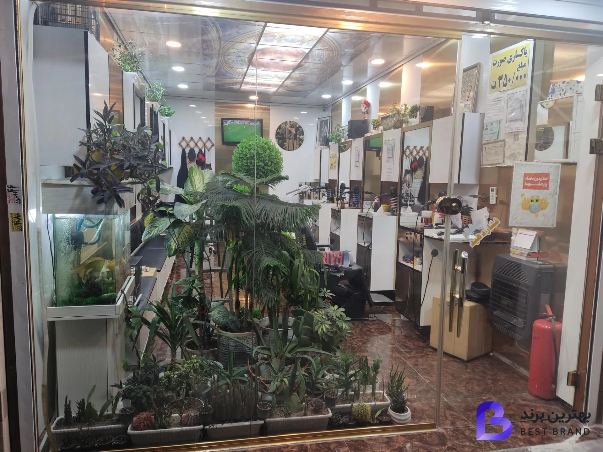 تصویر 4 از پیرایش فرشید