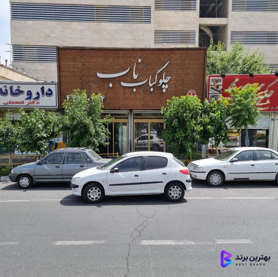 تصویر چلوکباب ناب