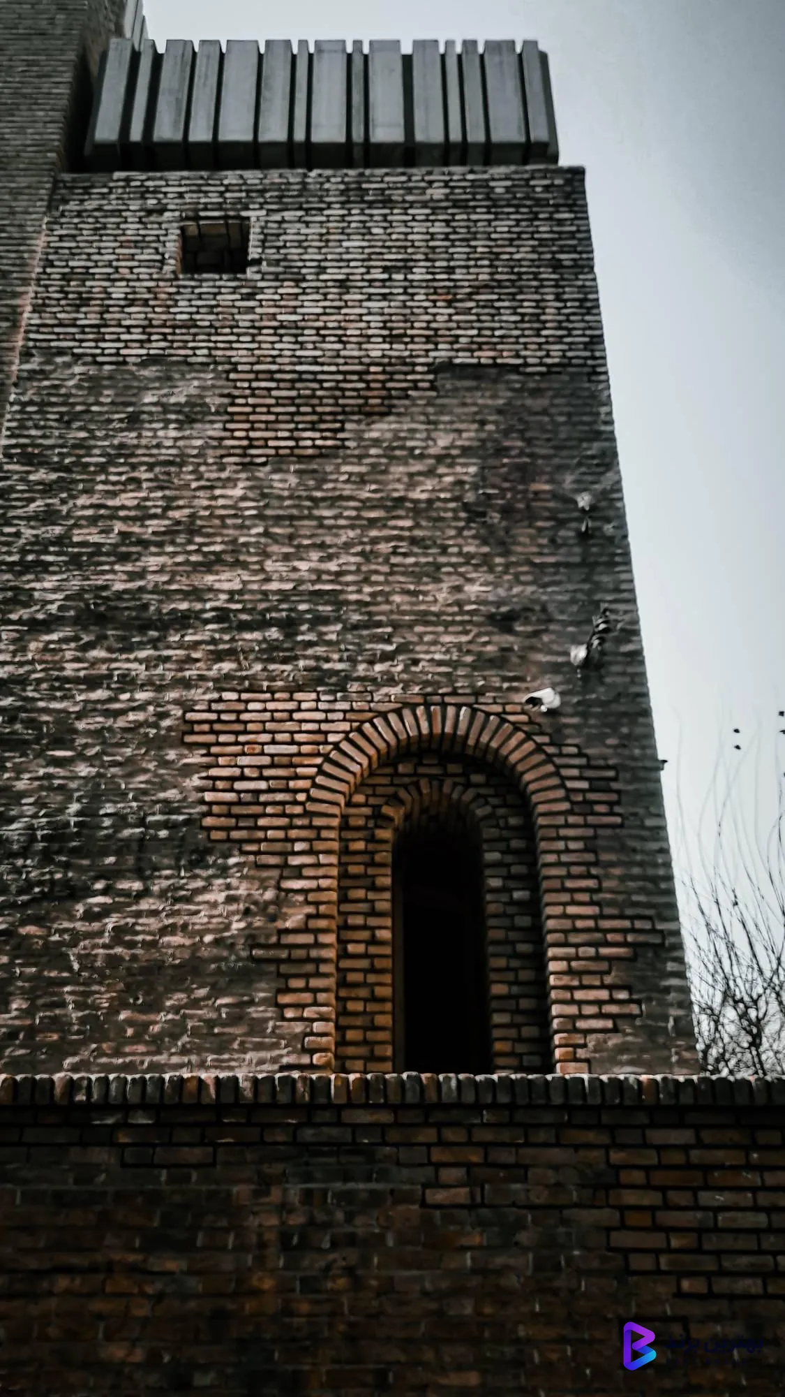 تصویر 4 از کارخانه آرگو