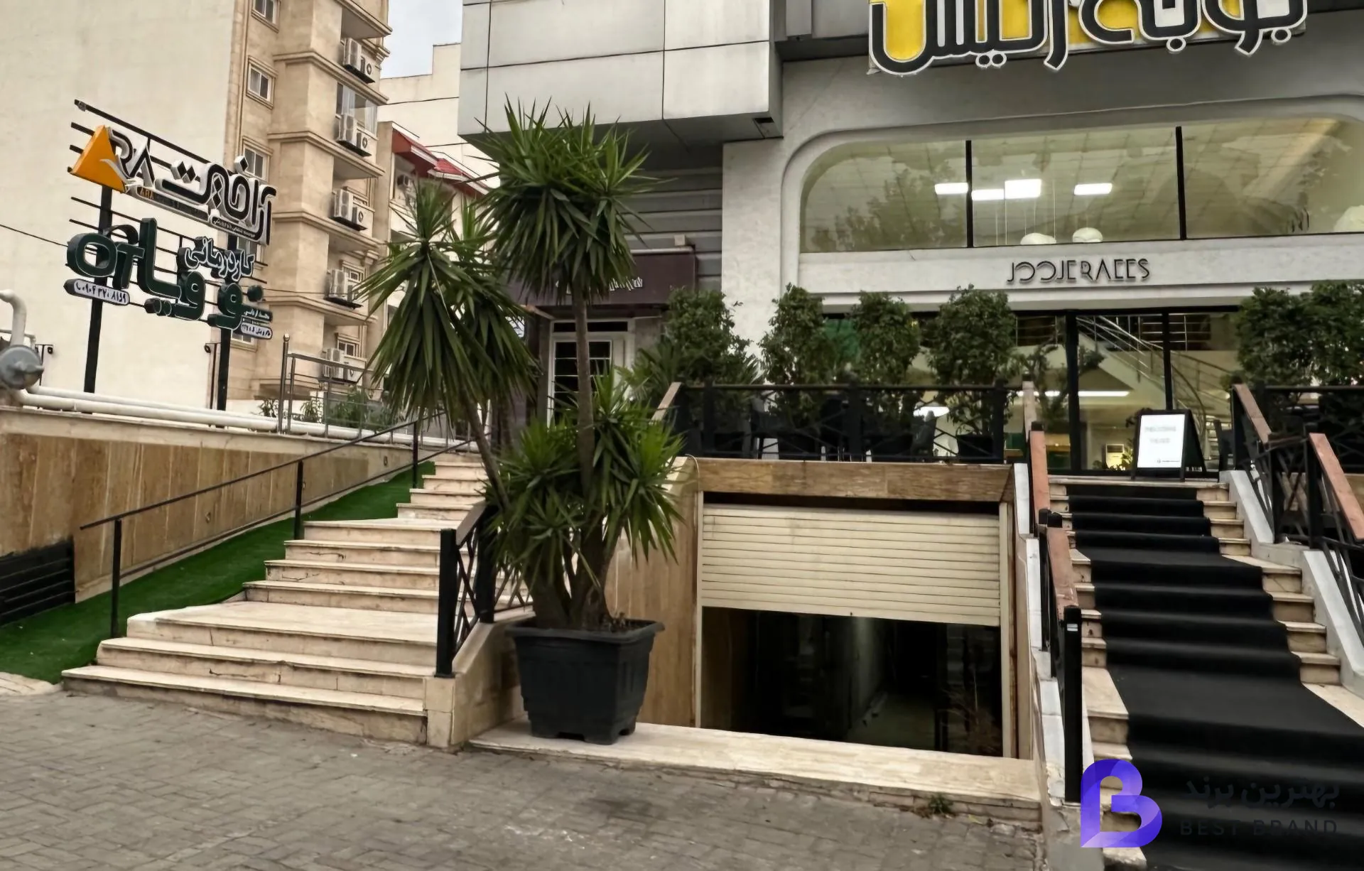 تصویر کاردرمانی نو ویا