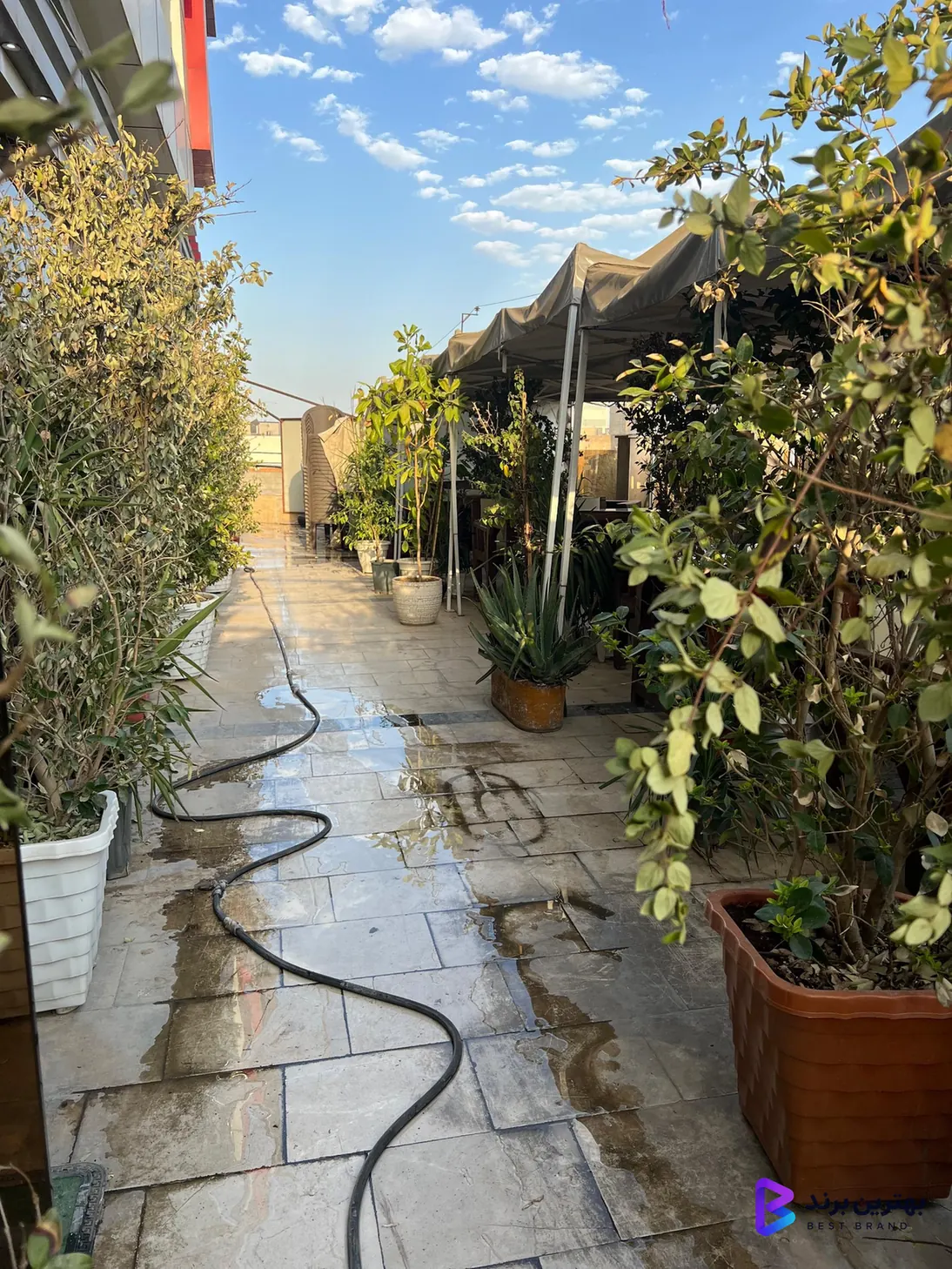 تصویر 4 از کافه تراس